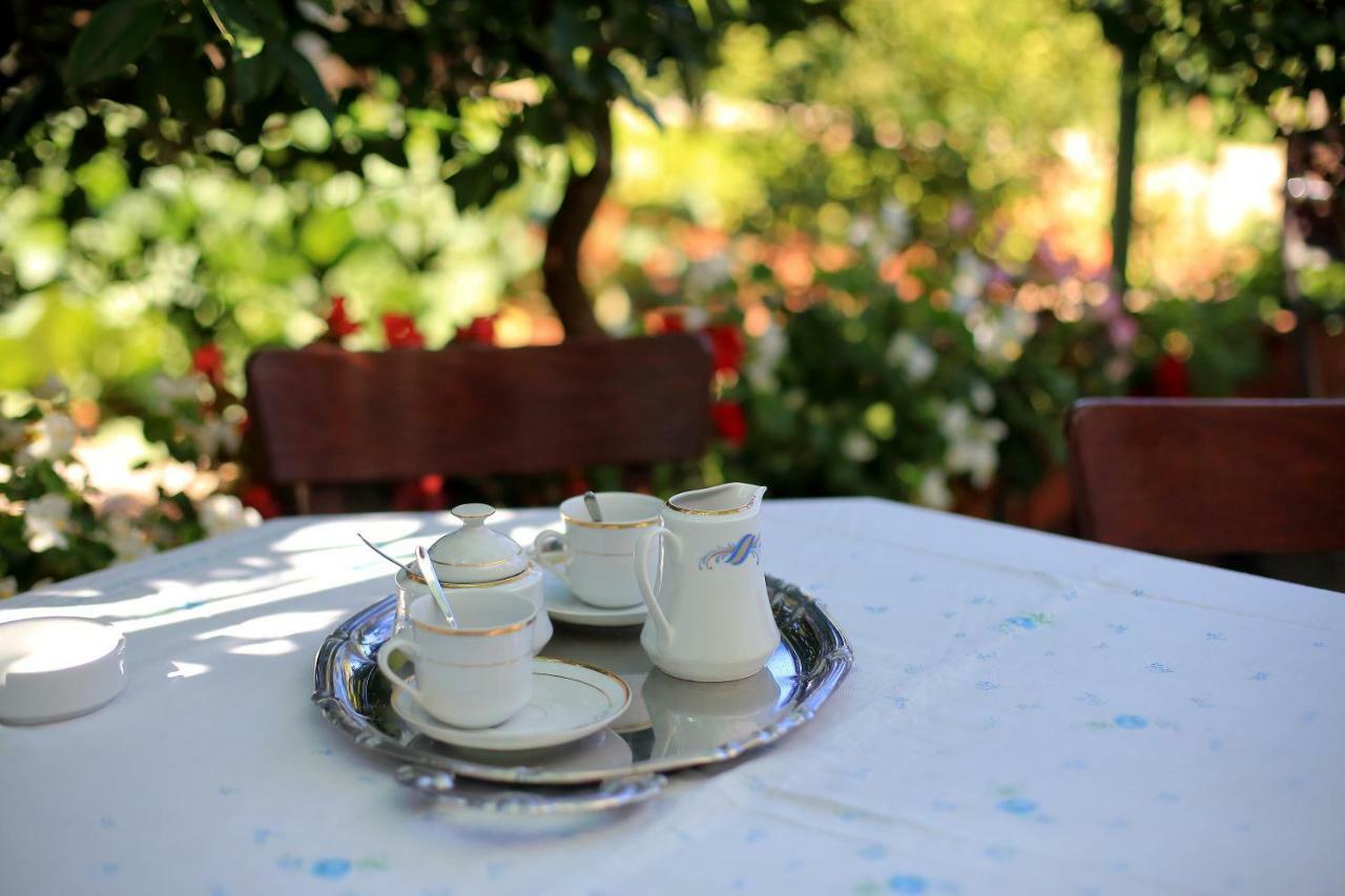 Apartment Zora Zadar Dış mekan fotoğraf